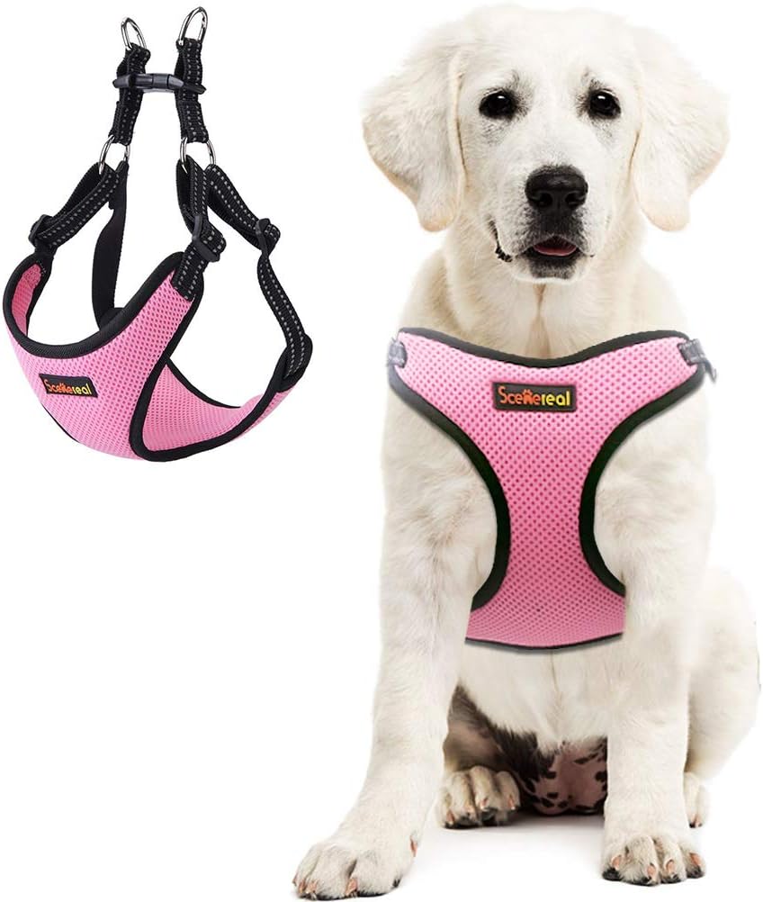 SCENEREAL Step in Dog Harness for Small Dogs Soft Adjustable Reflective