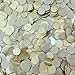 Confetti Circles 1/2 Inch Small 1 Color 8000 Plus Circles Silver