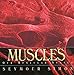Muscles: Our Muscular System