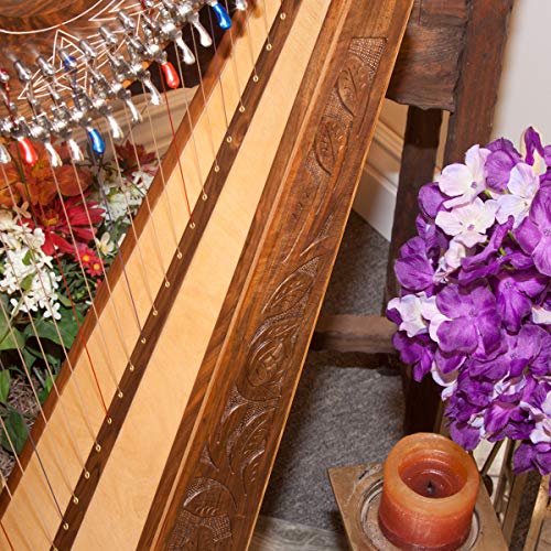 image for Roosebeck 29-String Minstrel Harp w/Chelby Levers - Walnut