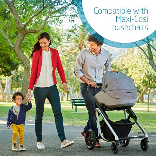 jade safety carrycot