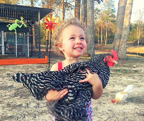 Manna Pro Fresh Flakes Poultry Bedding, 12-Pounds