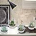 Supla 4 Set Artificial Fake Succulent Plants Echeveria Terrarium Glass Containers Decorations Clear (4 Artificial Succulents+1.1 Lb White Sand+1.32 Lb Stone + 4 Glass Containers +1 Floral Wire Cutter)