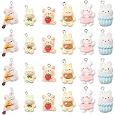 SUNNYCLUE 1 Box 24Pcs 6 Styles Rabbit Charms Bulk Bunny Charm Bulk Resin Cartoon Easter Bunny Colorful Music Instrument Animal Charms for Jewelry Making Charms Keychain Earring Necklace DIY Crafts