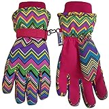 N'Ice Caps Girls Thinsulate and Waterproof Zig Zag Print Winter Ski Glove