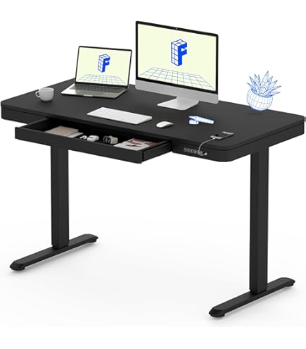 Amazon.com: FLEXISPOT E3 Dual Motor Electric Standing Desk 48x24 
