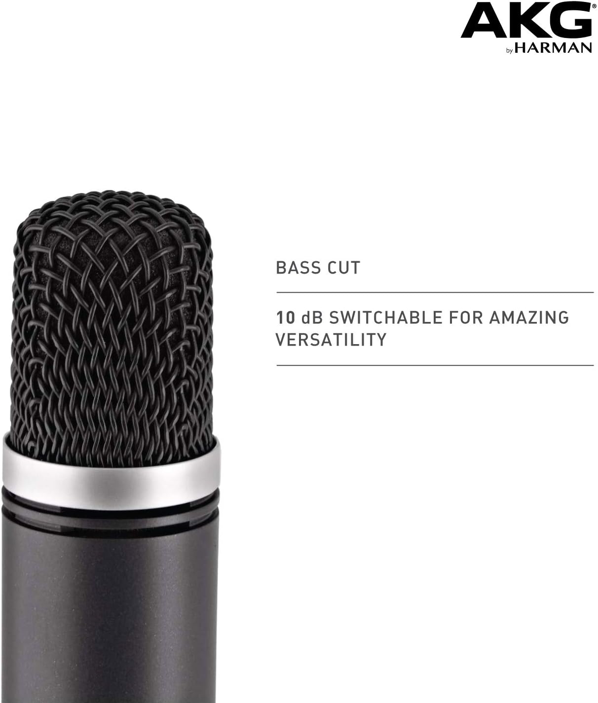 AKG Pro Audio C1000S High-Performance Small Diaphragm Condenser Microphone: Musical Instruments