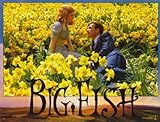 Big Fish Poster Movie French 11x14 Ewan McGregor Albert Finney Billy Crudup Jessica Lange