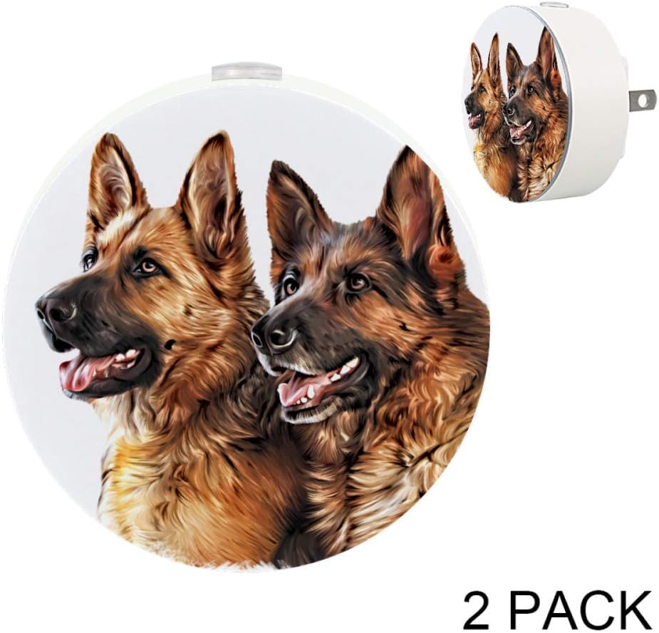 low energy german shepherd