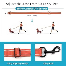 Reflective Dog Collar and Leash Set with Safety