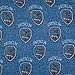 Harry Potter Hogwarts House Ravenclaw Viscose Scarf