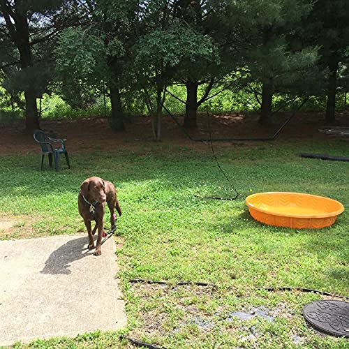 Dog Training Lead Long Dog Leash, Long Nylon Training Dog Leash for Pet Tracking Training Obedience Lead Leash Long Training Dog Leash Long Dog Recall Lead (10M/30FT)