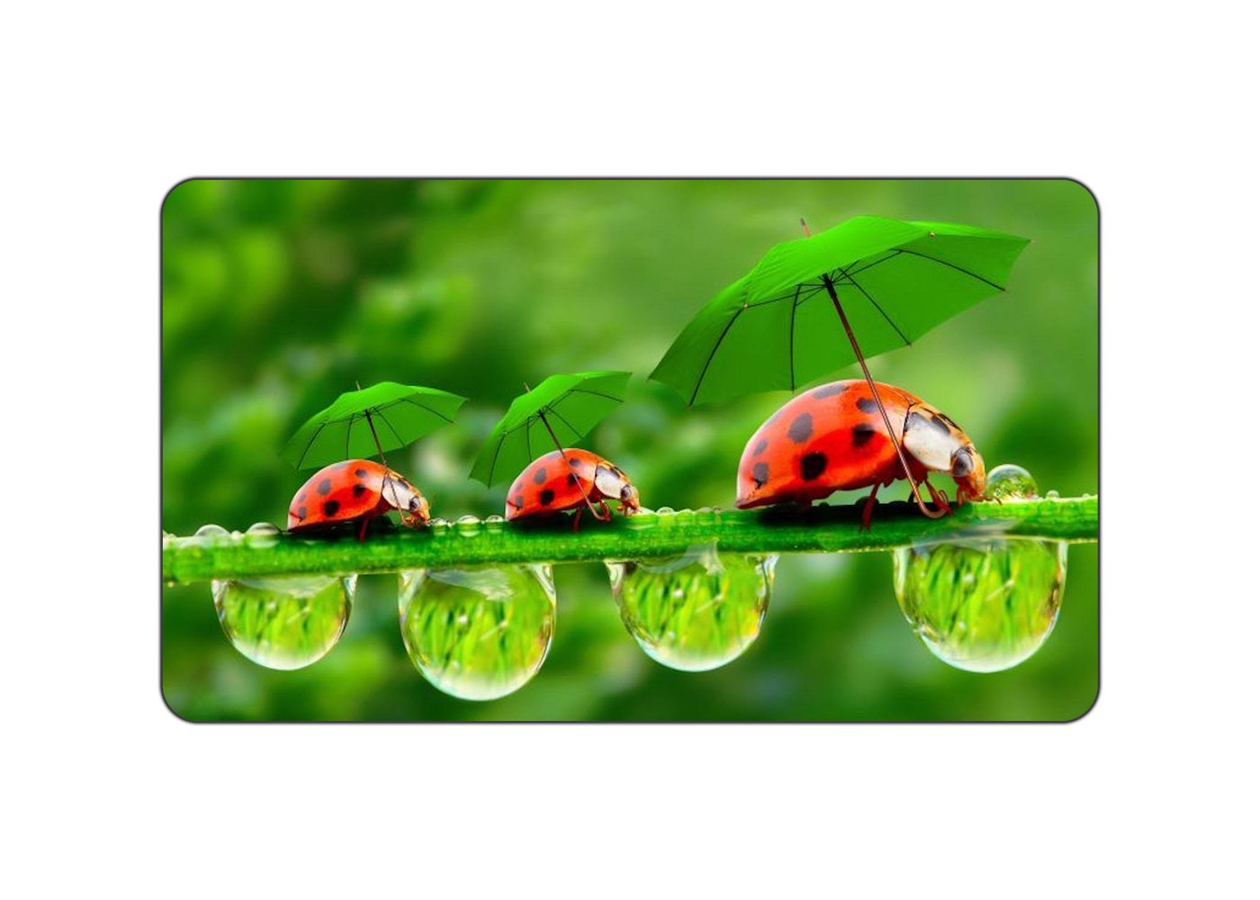 LadyBird Family Mousemat (MOUSE PAD)