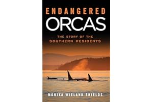 Endangered Orcas: The Story of the Southern Residents