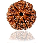 Naisha 6 Mukhi Himalayan Rudraksha | Six Faced Rudraksha | Rudraksha Beads with | 100% Original