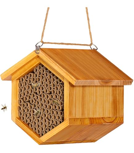 2 Pcs Hotel a Insectes abris bois,Maison en bois d'abeille,hôtel à insectes à construire enfant,nature Hôtels à insectes sauvages,Observerpour Abeilles, Coccinelles, Papillons,Jardin Decoratifs,Cadeau