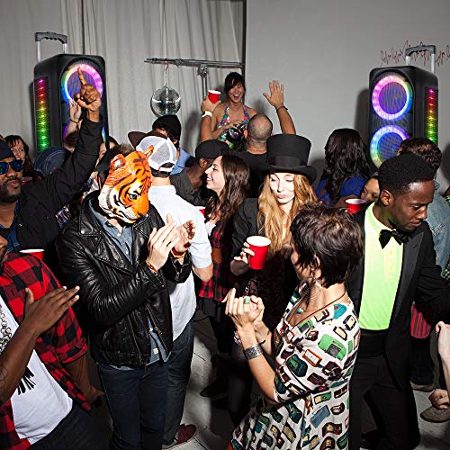 Shinco Karaoke Speaker with Party Lights - Dual 8 Inch Subwoofer Portable Karaoke Machine