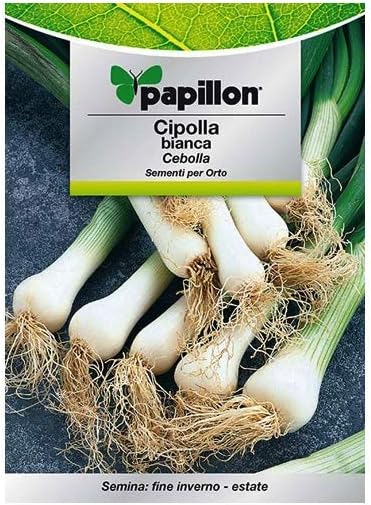 Semillas Cebolla Blanca (4 Gramos): Amazon.es: Jardín