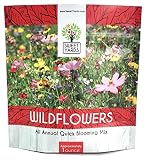 Wildflower Seeds Annual Quick Blooming Mix - Large 1 Ounce Packet Over 7,500 Open Pollinated Seeds