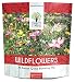 Wildflower Seeds Annual Quick Blooming Mix - Large 1 Ounce Packet Over 7,500 Open Pollinated Seeds