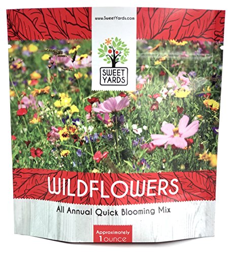 Wildflower Seeds Annual Quick Blooming Mix - Large 1 Ounce Packet Over 7,500 Open Pollinated Seeds