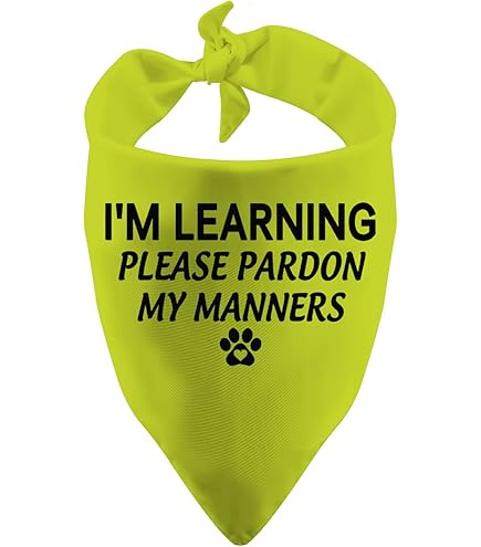 thumbnail image 2 of Sale Dogs Trust Bandana Clearance A Dog Is For Life Bandana Dog Bandana With Paw 2 of 10