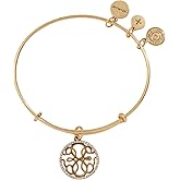 Alex and Ani Path of Symbols, Path of Life Bracelet