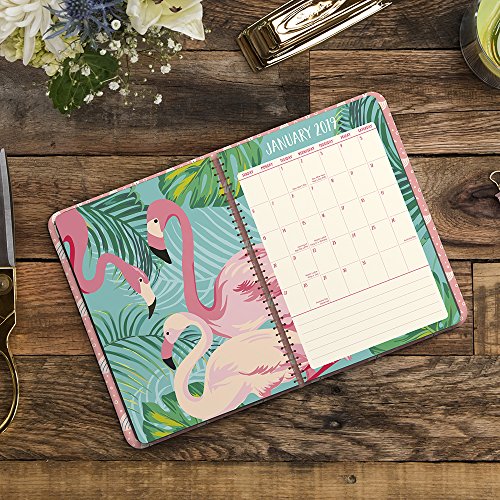 Orange Circle Studio 2019 On-Time Weekly Planner, August 2018 - December 2019, Potpourri