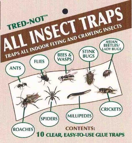 10 Pk Sticky Insect Trap, Asian Beetle, Stinkbug Trap..All BUG TRAP