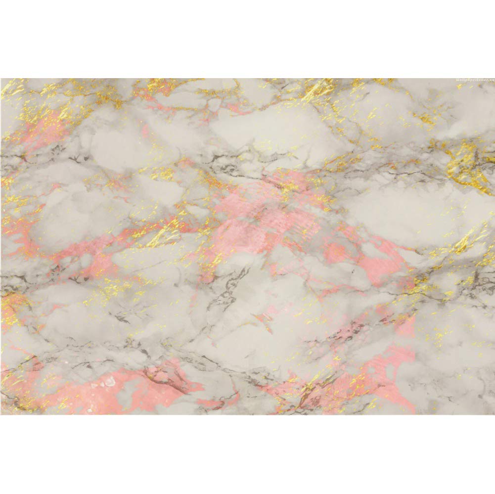 Best photo backdrops 10×10 christmas living room