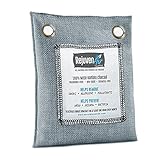 Sensible Needs PRNT - RejuvenAir Natural Charcoal Air Purifier (1, 200 g)