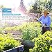 InGarden 100ft Expandable Garden Hose - Lightweight Kink Free Flexible Water Hose with Double Latex Core, 3/4