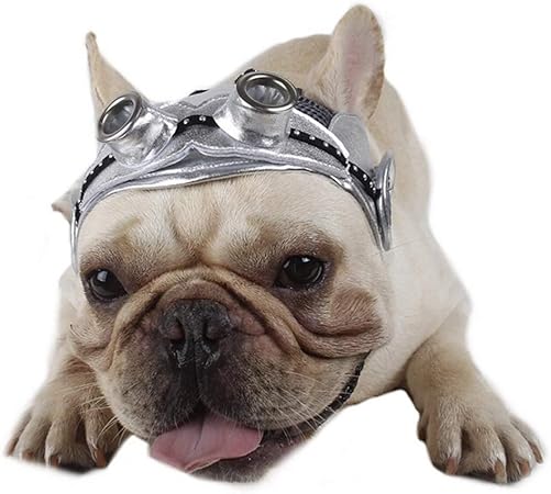 french bulldog hat with ears