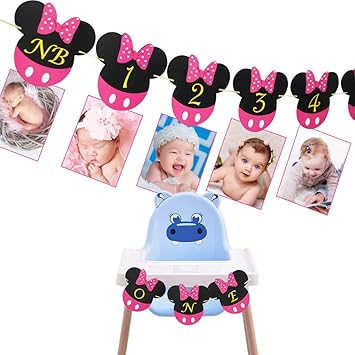 Amazon Com Minnie Mouse Baby Photo Banner First Year Monthly Photo