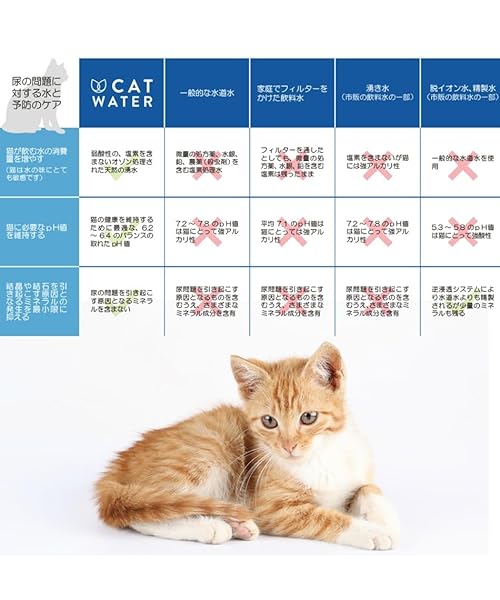 FANTASY WORLD PH BALANCE CAT WATER 4L CAT WATER CAT WATER
