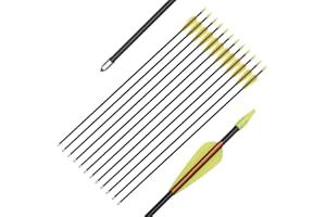 WANGQIN ARCHERY Archery Practice Fiberglass Arrows 24/26/28/30 Inch Target Shooting Safetyglass Recurve Bows Suitable for Youth Children Woman Beginner 6/12PCS