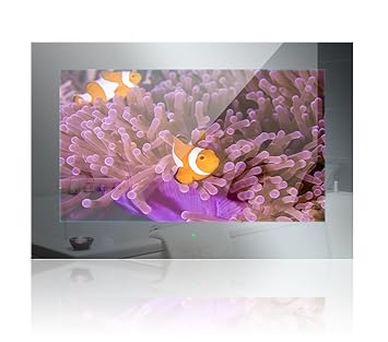 innovativTV Bad TV Spiegelfront | 18,5'/47cm | DVB-C/S2/T2 inkl. CI-Slot | Auf-/Unterputz/VESA Montage | Wasserdicht IP65