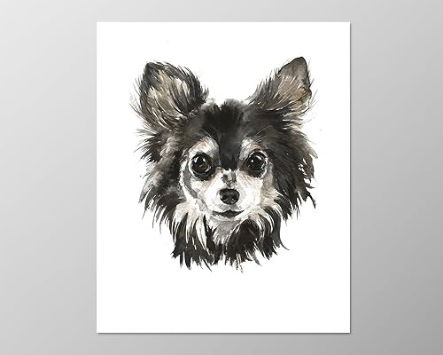 Amazon Com Long Haired Chihuahua Art 8x10 A088 Art Print Dog
