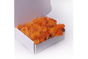 ACADOIT Preserved Moss-3.5 OZ Moss for Crafts Faux Moss Decor Natural Green Moss for Art Wall Florist Decor(Orange 3.5 OZ)