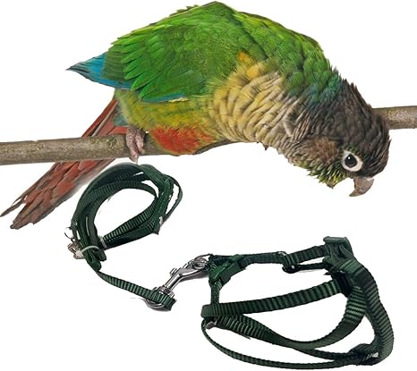 Bonaweite - Correa Ajustable para arnés, para Mascotas (Nailon, antimordeduras, Caminata Exterior, para Loros, cacatúas, guacamayos, Cuello Anillo, ...