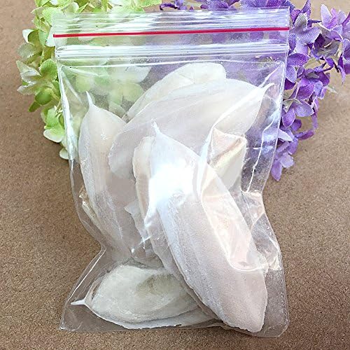 yodaliy 1 Bag Cuttlefish Bone,3-6cm Cuttlefish Bone Cuttle Fish Cuttlefish Bone for Pet Birds Reptiles Tortoise Food Turtles, Snails and Terrapins