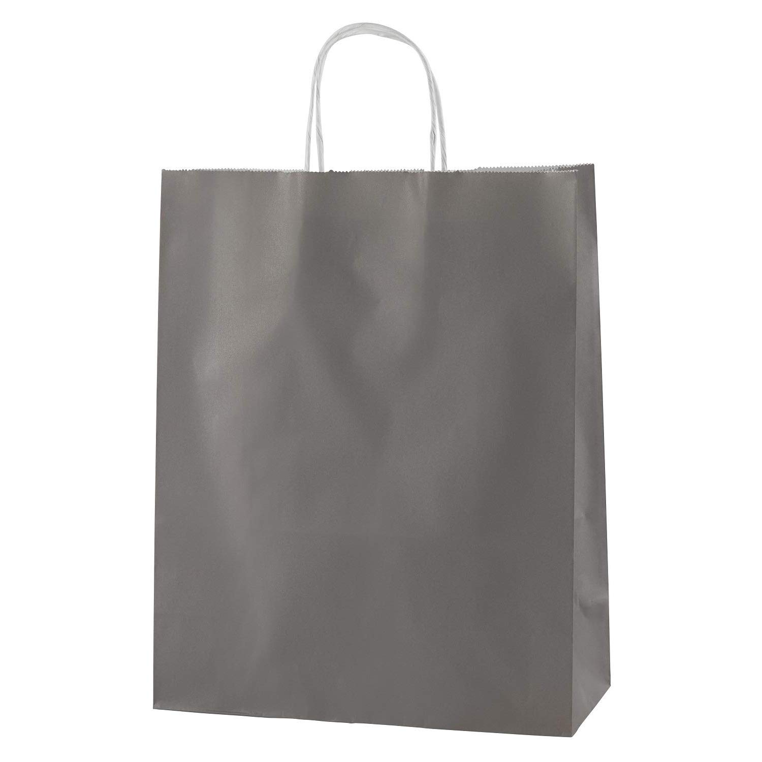 Thepaperbagstore 20 Grey Medium Paper Bags with Handles - 25x11x31cm - Colourful Paper Gift Bags for Adults and Kids - for Shopping, Party, Birthdays and Weddings