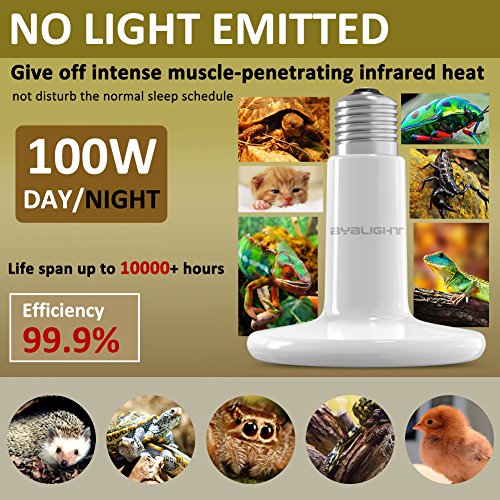 1 BYB+Ceramic+Infrared+Emitter+Brooder