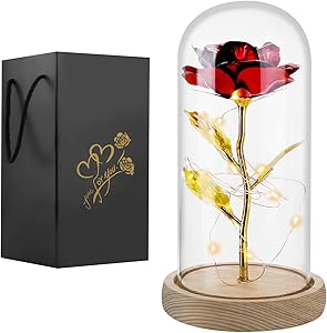 Gift for Her,Birthday Gifts for Women Mom Wife Grandma,Artificial Flower Forever Rose in Glass Dome,Galaxy Rose with Led Light String,Unique Gifts for Anniversary Wedding Graduation Room Decor
