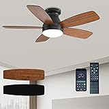 JSAITEE Ceiling Fans with Lights, 42 Inch Low