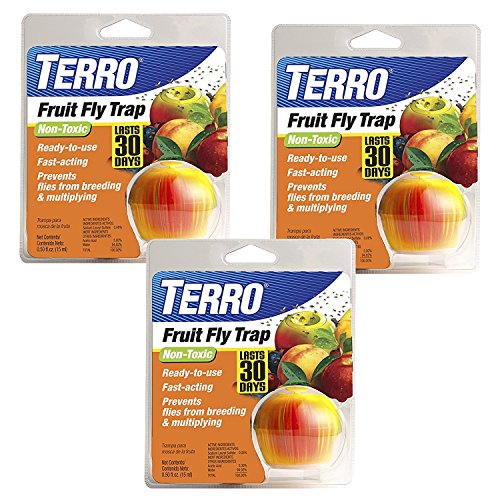 Terro 2500 Fruit Fly Trap (3 Pack)
