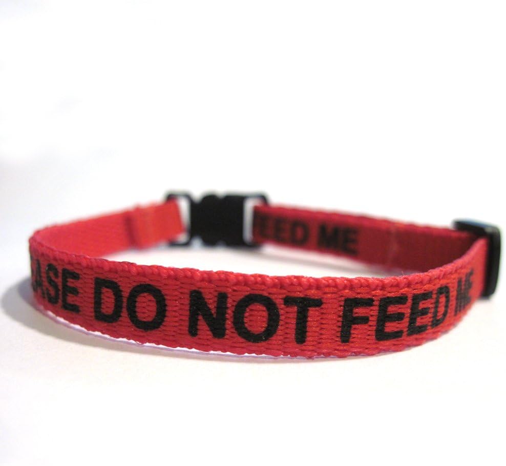 Please Do Not Feed Me Collar Red Amazon.co.uk Pet Supplies