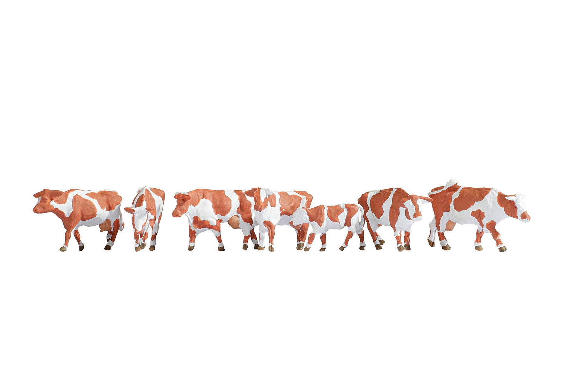 Noch Cows, Brown-White
