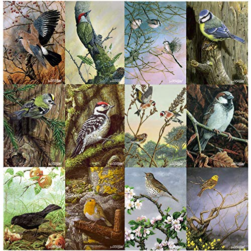 Tirrito British birds notecards with envelopes by Dick Twinney