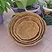 Round Replacement Coco Fiber Basket Liner, 8-Inch